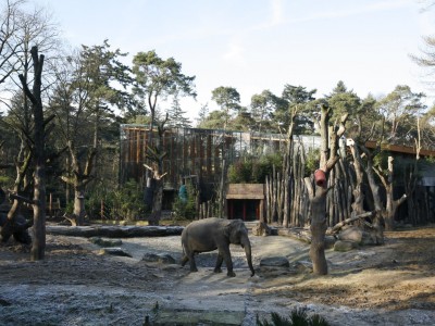 Overkapping dierenverblijf vliesgevels polycarbonaat 4